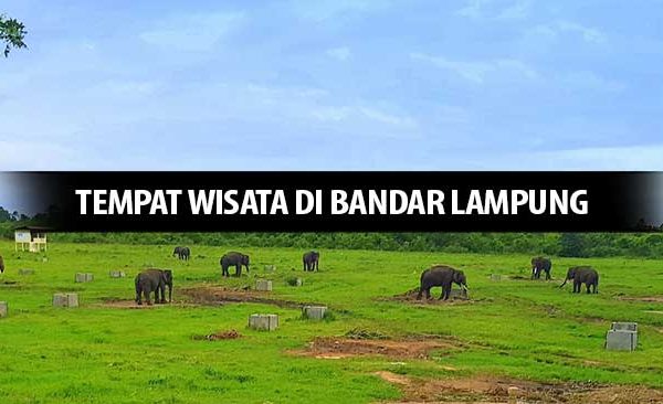 Rekomendasi Tempat Wisata Di Bandar Lampung