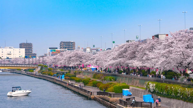  Sumida River Park